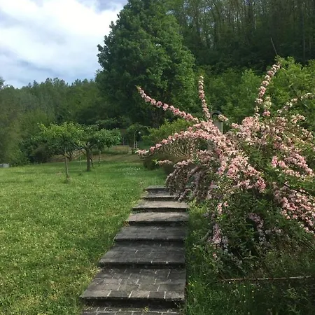 Comfortable House With Pool In